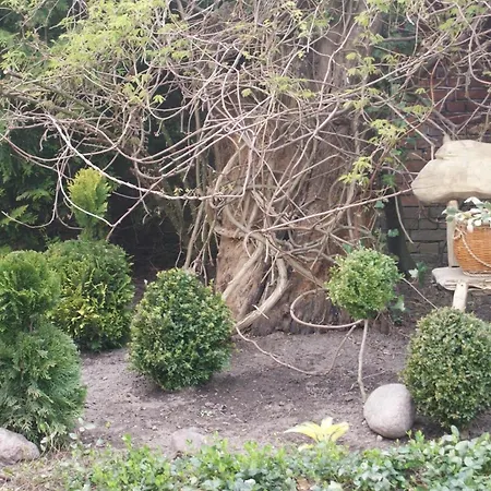 Dorf Stille - Huetten In Den Gaerten Magra - Kraeuter Holiday home *