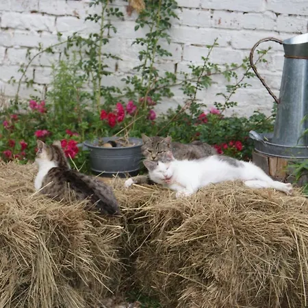 Prázdninový dům Dorf Stille - Huetten In Den Gaerten Magra - Kraeuter