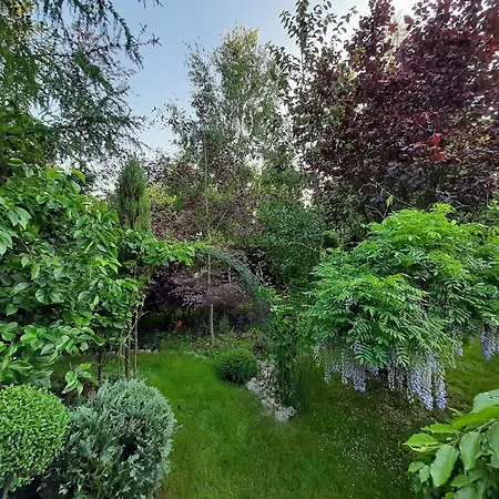 Prázdninový dům Dorf Stille - Huetten In Den Gaerten Magra - Kraeuter Zakrzewo (Slawno)