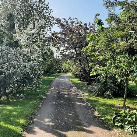 Holiday home Dorf Stille - Huetten In Den Gaerten Magra - Kraeuter *